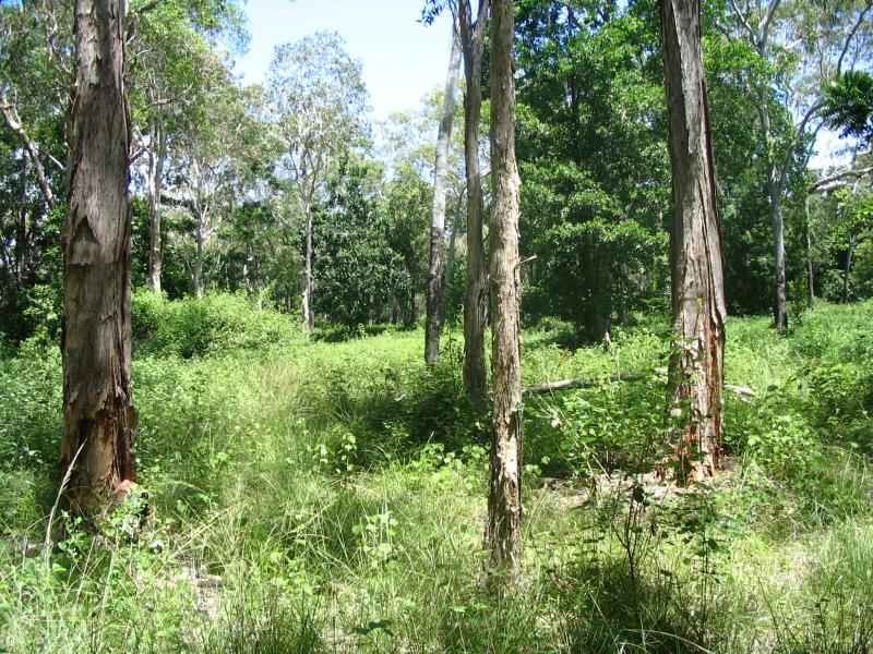 98 Allan Road, Conway Beach QLD 4800