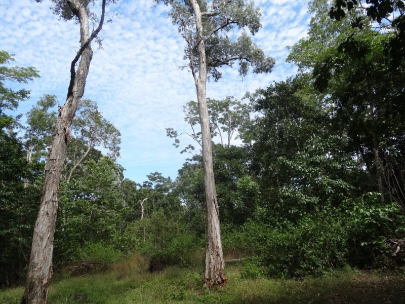 98 Allan Road, Conway Beach QLD 4800