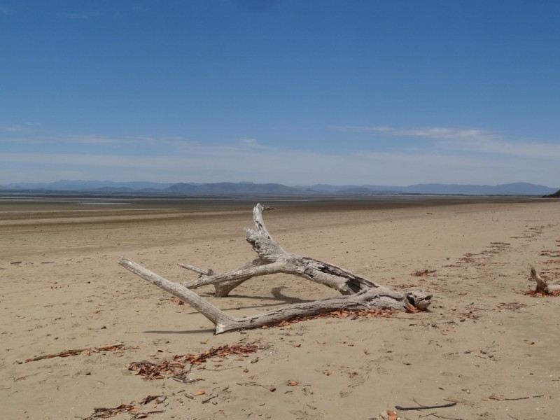 98 Allan Road, Conway Beach QLD 4800