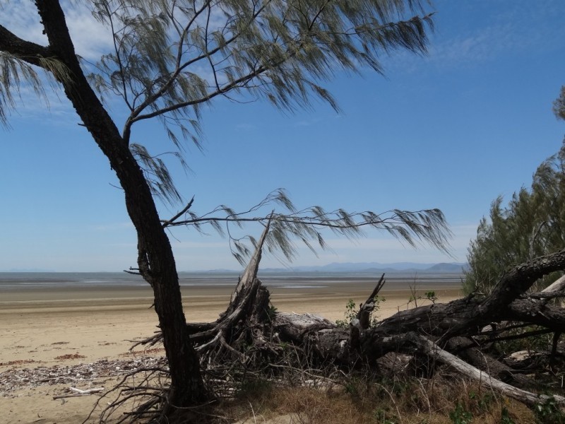 98 Allan Road, Conway Beach QLD 4800