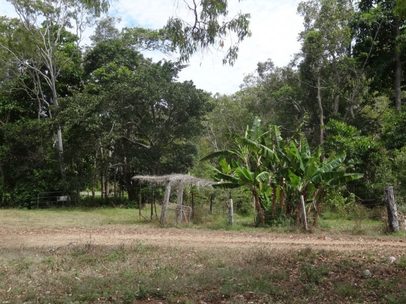 98 Allan Road, Conway Beach QLD 4800