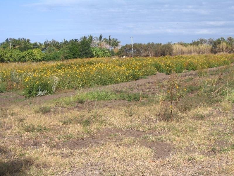 Lot 7 Chandlers Road, Bowen QLD 4805