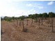 Lot 7 Chandlers Road, Bowen QLD 4805