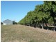 Lot 3 Kelsey Road, Bowen QLD 4805