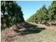 Lot 3 Kelsey Road, Bowen QLD 4805