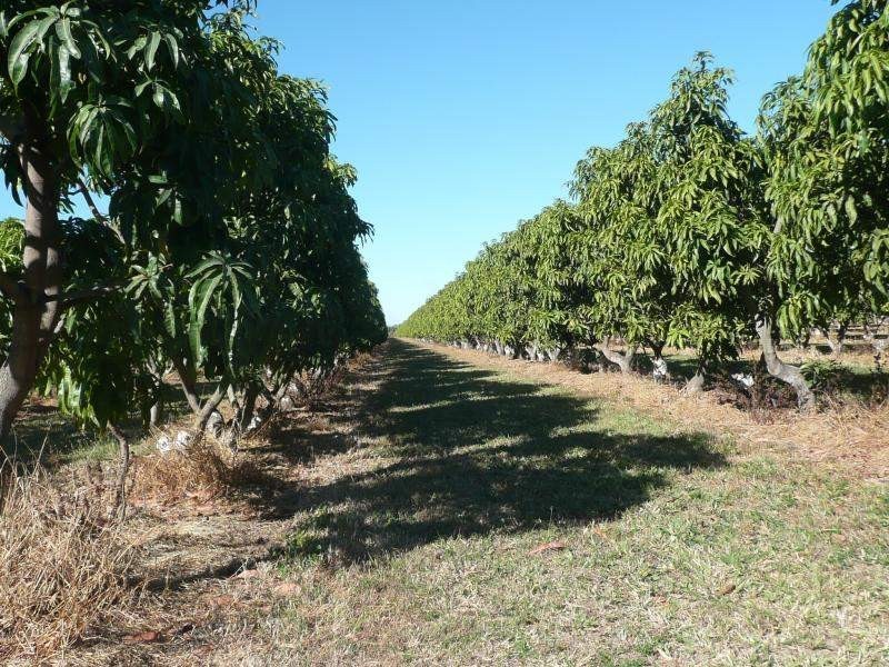 Lot 3 Kelsey Road, Bowen QLD 4805