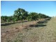Lot 3 Kelsey Road, Bowen QLD 4805