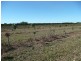 Lot 3 Kelsey Road, Bowen QLD 4805