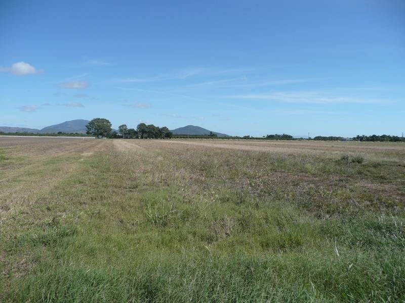 3 Reibels Road, Bowen QLD 4805