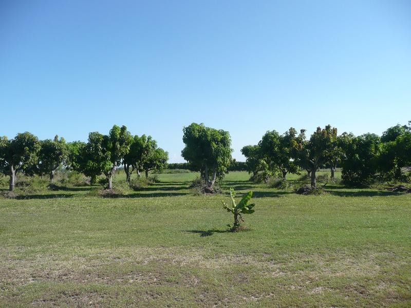 171 Telegraph Road, Bowen QLD 4805