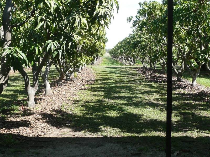 312 Richmond Road, Bowen QLD 4805