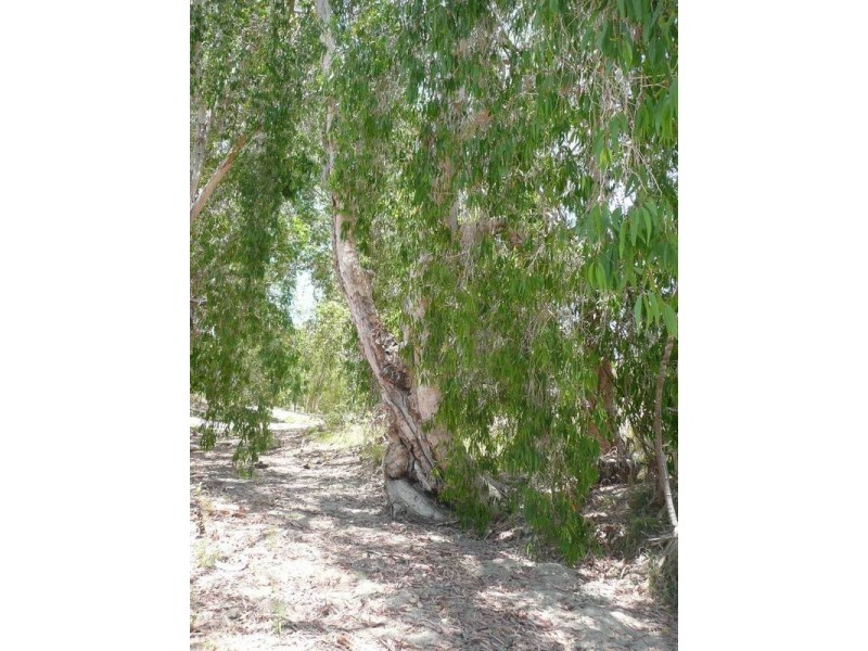 3,4,5 Thurso Road, Bowen QLD 4805