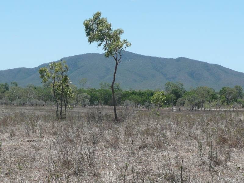 3,4,5 Thurso Road, Bowen QLD 4805