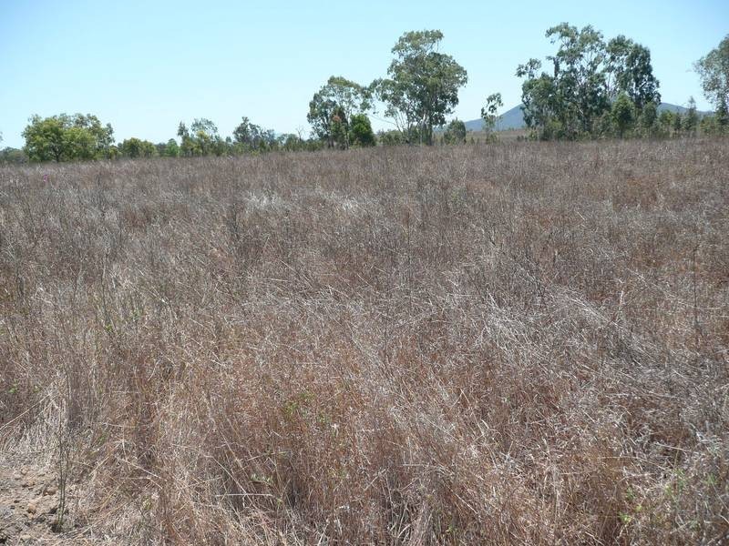 Lots 7 & 8 Collinsville Road, Bowen QLD 4805