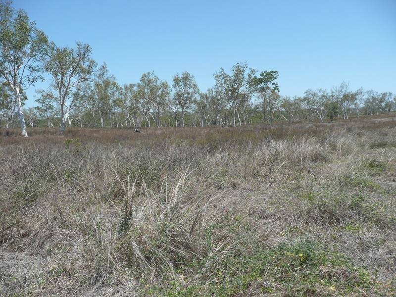 Lots 7 & 8 Collinsville Road, Bowen QLD 4805