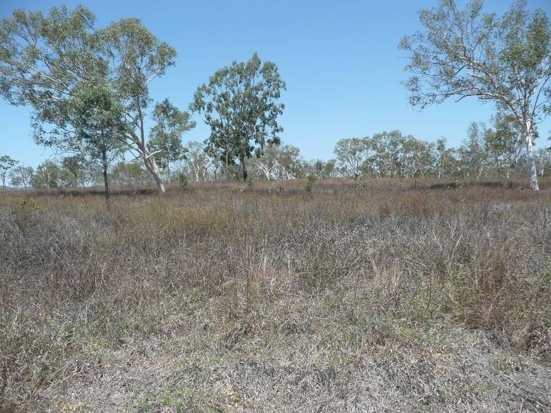 Lots 7 & 8 Collinsville Road, Bowen QLD 4805