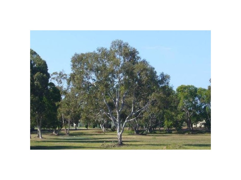 9 Lime Tree Court, Bowen QLD 4805