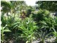 5 LEICHHARDT LANE, Bowen QLD 4805