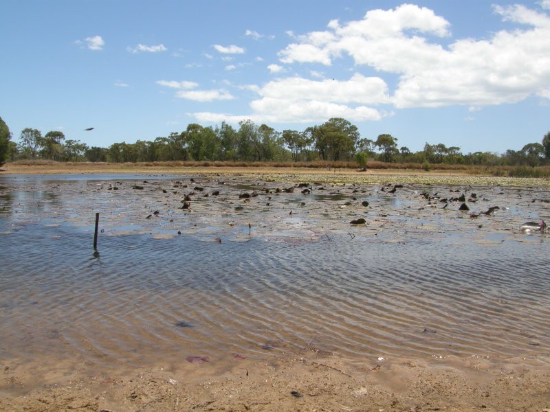 00000 Eden Lassie Road, Bowen QLD 4805