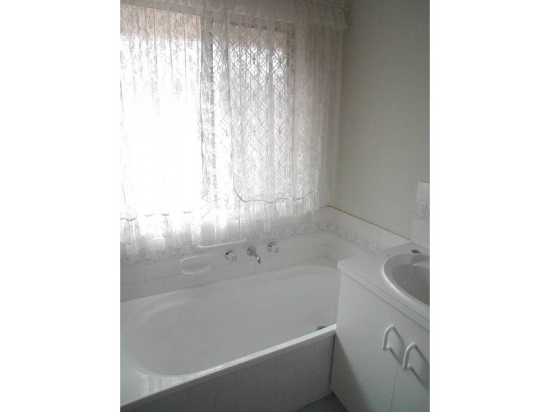 17b Doreen Street, Oaklands Park SA 5046