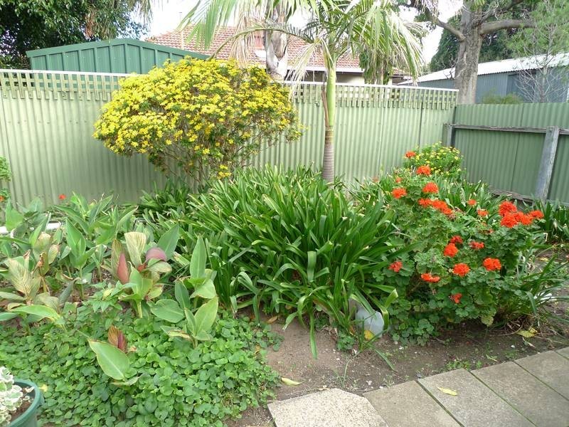 15 Moreland Avenue, Mitchell Park SA 5043