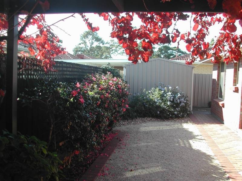 4/2 Avalon Road, Marion SA 5043