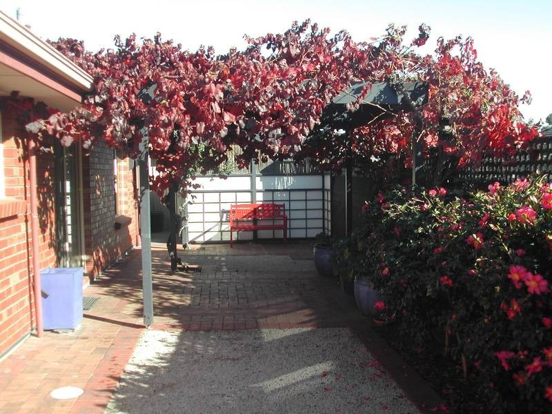 4/2 Avalon Road, Marion SA 5043