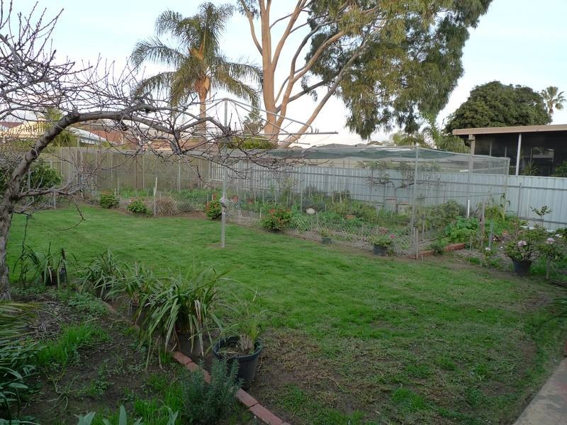 5 Moselle Avenue, Glengowrie SA 5044