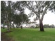 44 Byard Terrace, Mitchell Park SA 5043