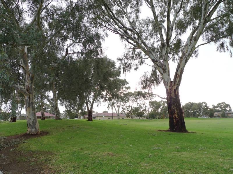 44 Byard Terrace, Mitchell Park SA 5043
