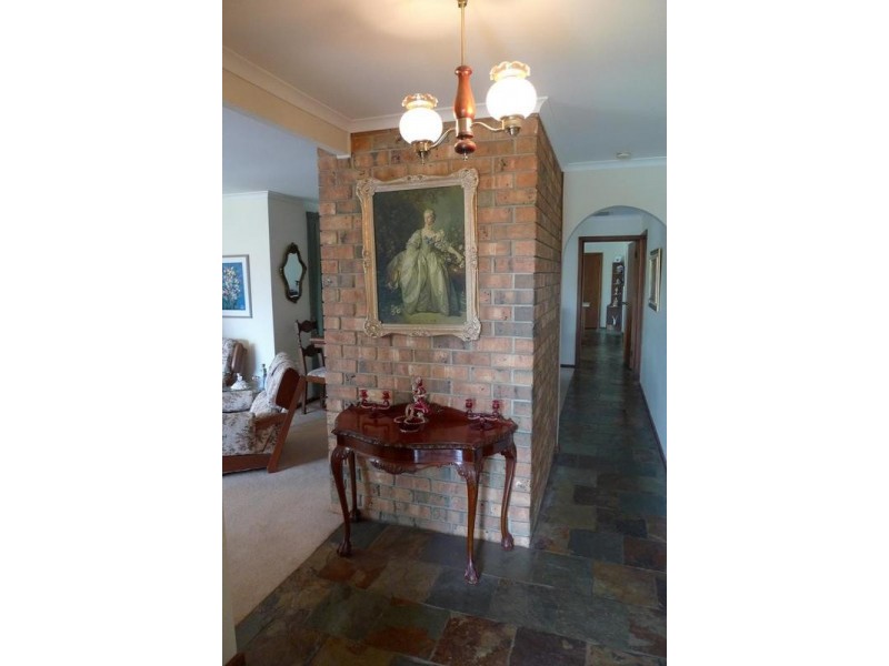 37 Spruce Avenue, Warradale SA 5046