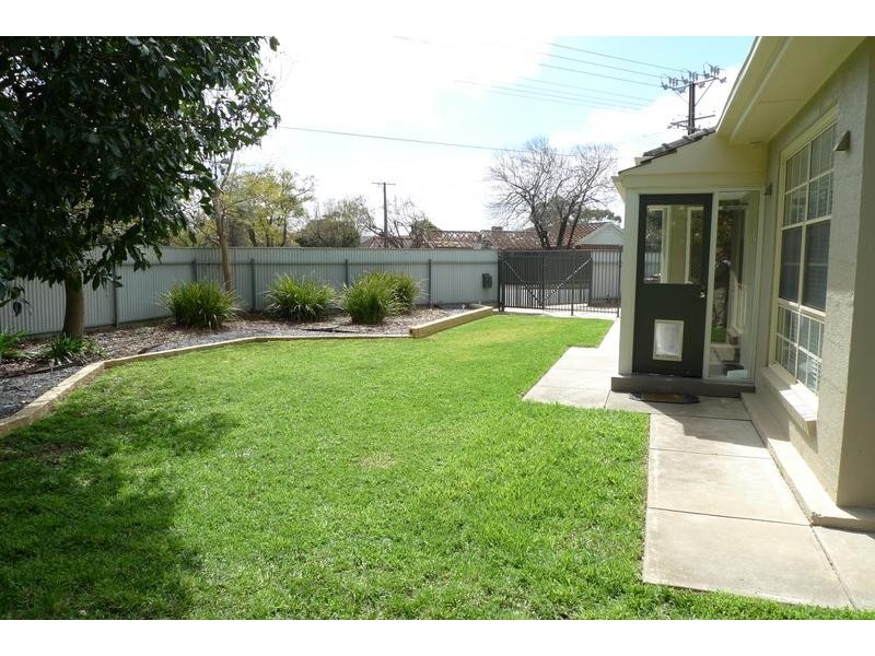 53 Pemberton Street, Oaklands Park SA 5046