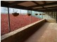 9 Hui Hui Drive, Happy Valley SA 5159