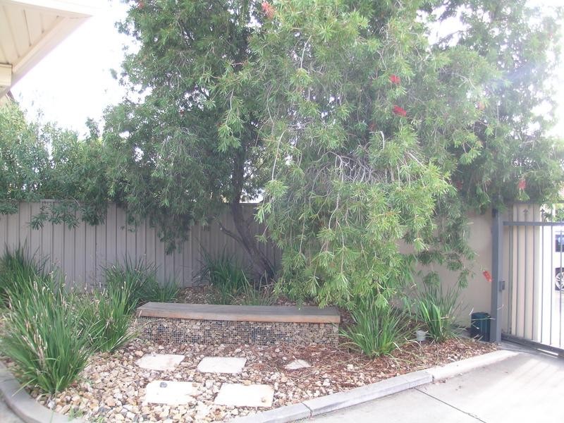 6/5 Clayton Avenue, Plympton SA 5038