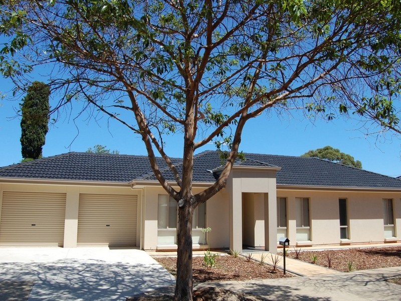 40 Parry Avenue, Somerton Park SA 5044
