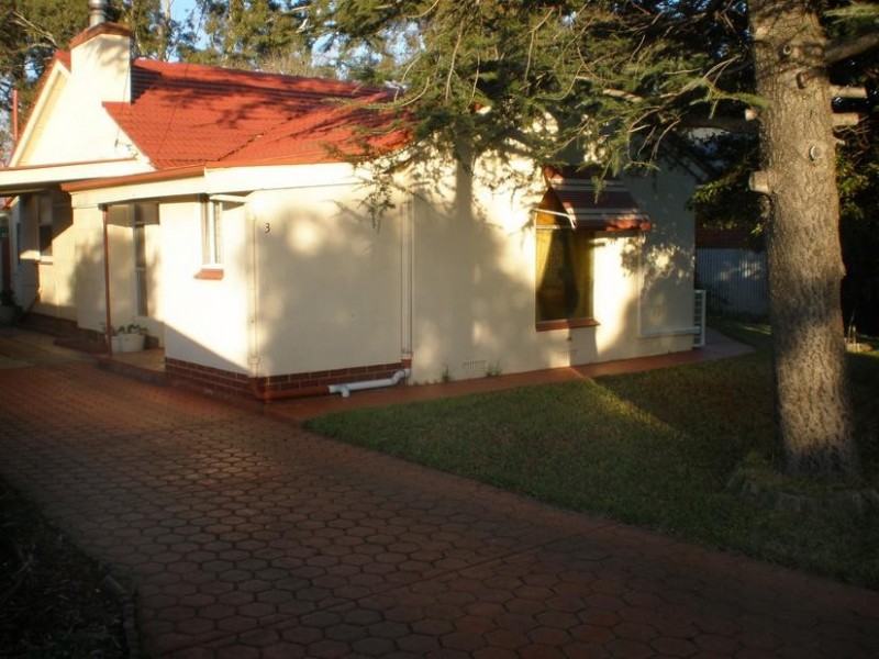 3 Sixth Avenue, Warradale SA 5046