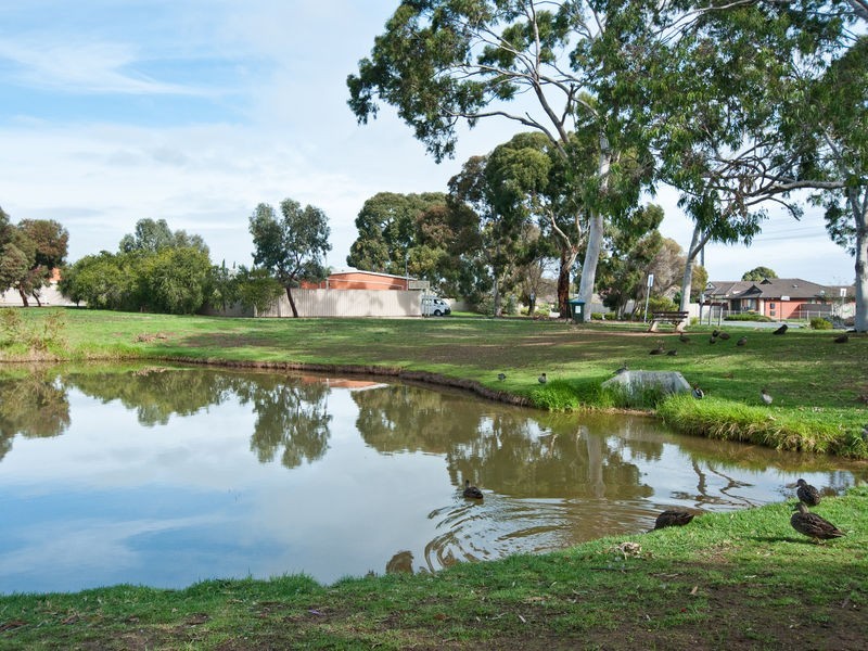 53 Bradley Grove, Mitchell Park SA 5043