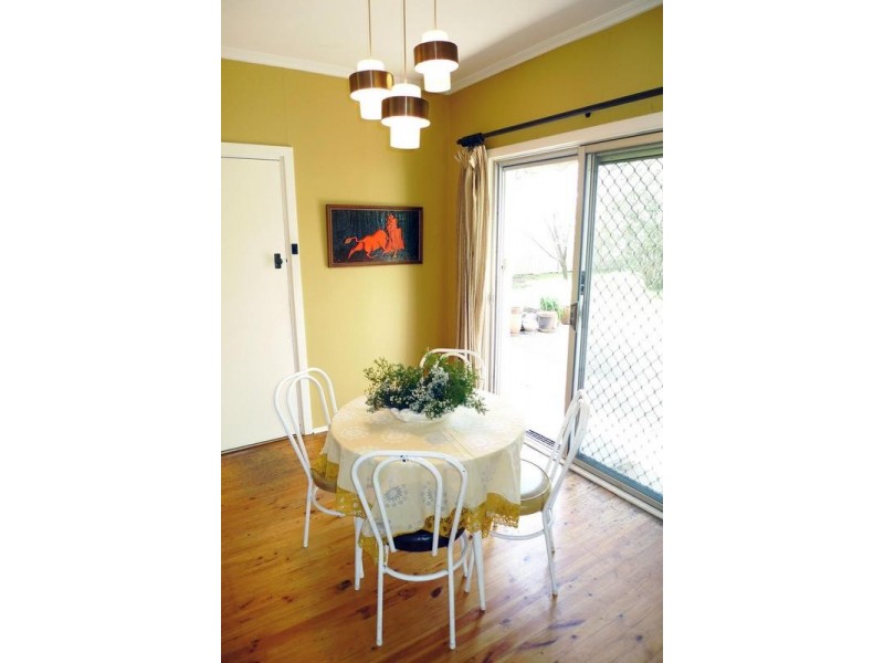 Lot 119 Ragless Avenue, Park Holme SA 5043