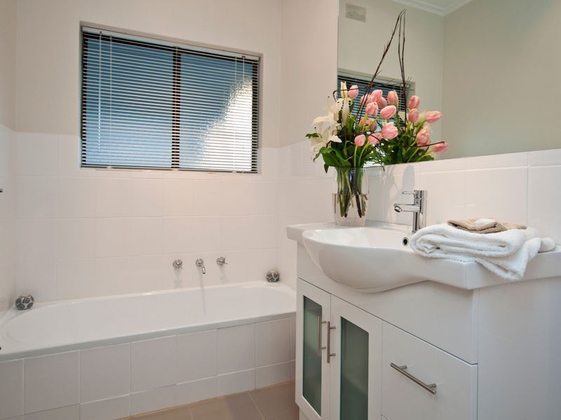 20 Renown Avenue, Clovelly Park SA 5042