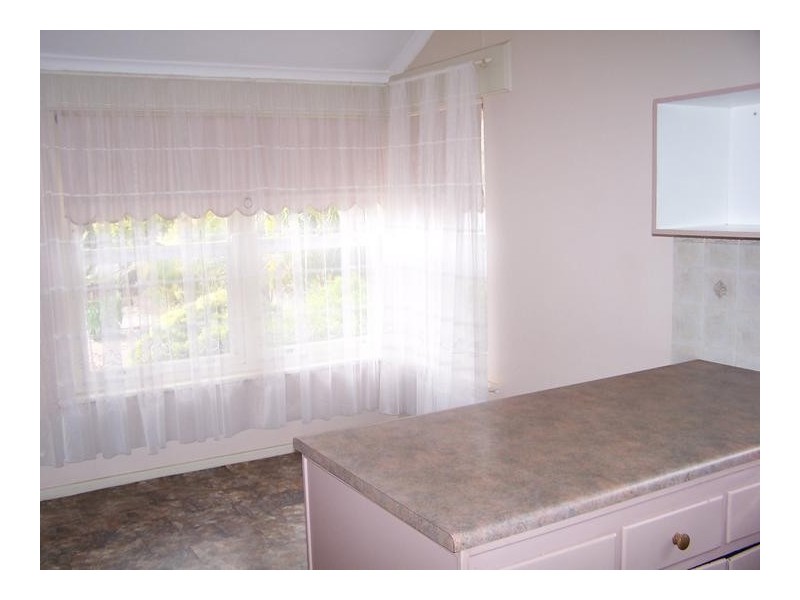 16 Oak Avenue, Clovelly Park SA 5042