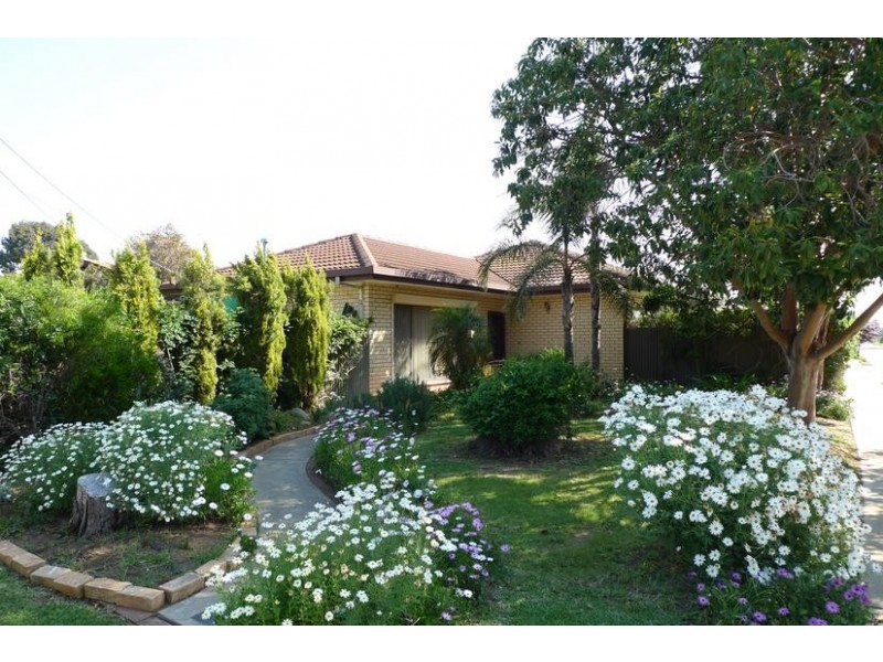 48 Oliphant Avenue, Marion SA 5043