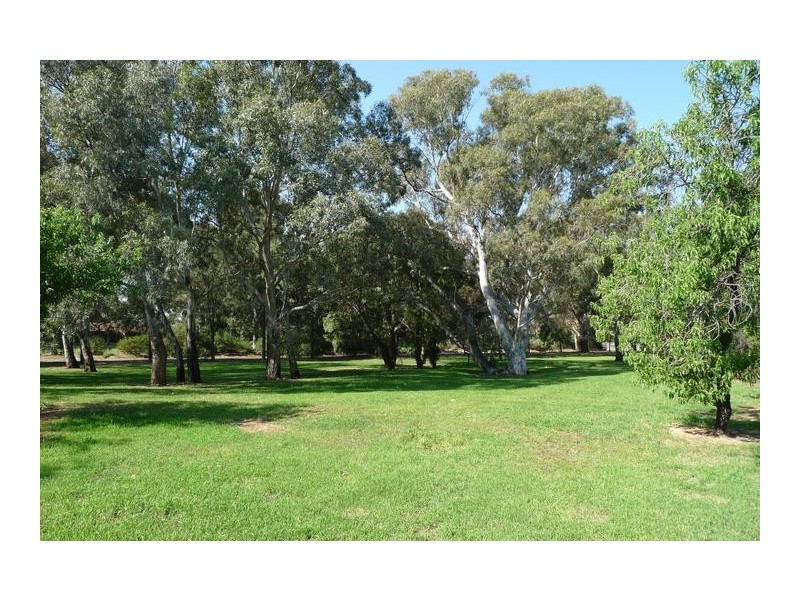 48 Oliphant Avenue, Marion SA 5043