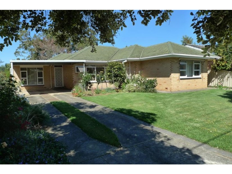 13 Don Terrace, Morphettville SA 5043