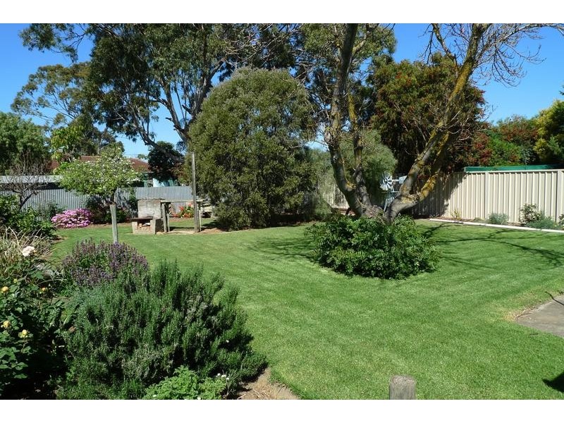 13 Don Terrace, Morphettville SA 5043