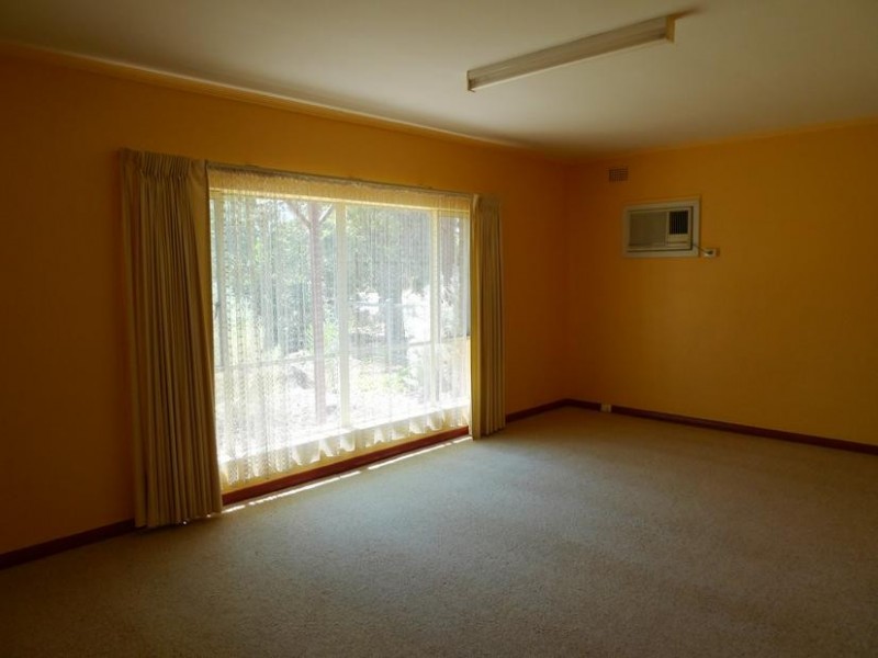 20 Wolseley Terrace, Ascot Park SA 5043