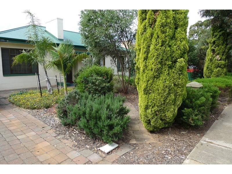 43 Railway Terrace, Warradale SA 5046