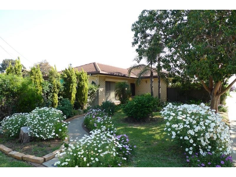 48 Oliphant Avenue, Marion SA 5043