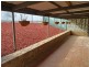 9 Hui Hui Drive, Happy Valley SA 5159