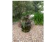 9 Hui Hui Drive, Happy Valley SA 5159