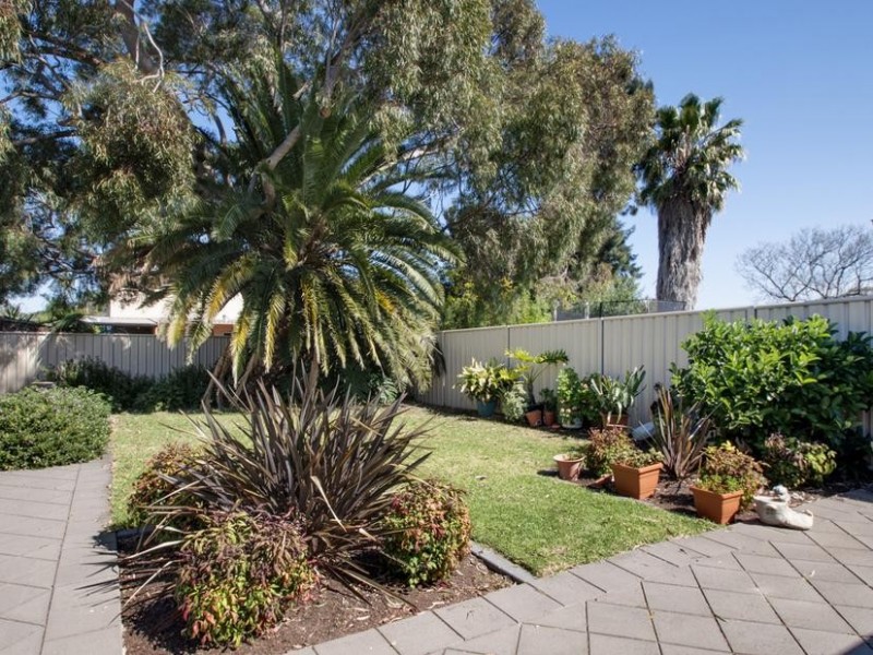 6B Ailsa Avenue, Warradale SA 5046